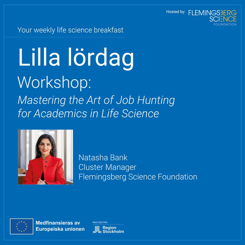 Cover Image for Lilla lördag - Workshop Mastering the Art of Job Hunting