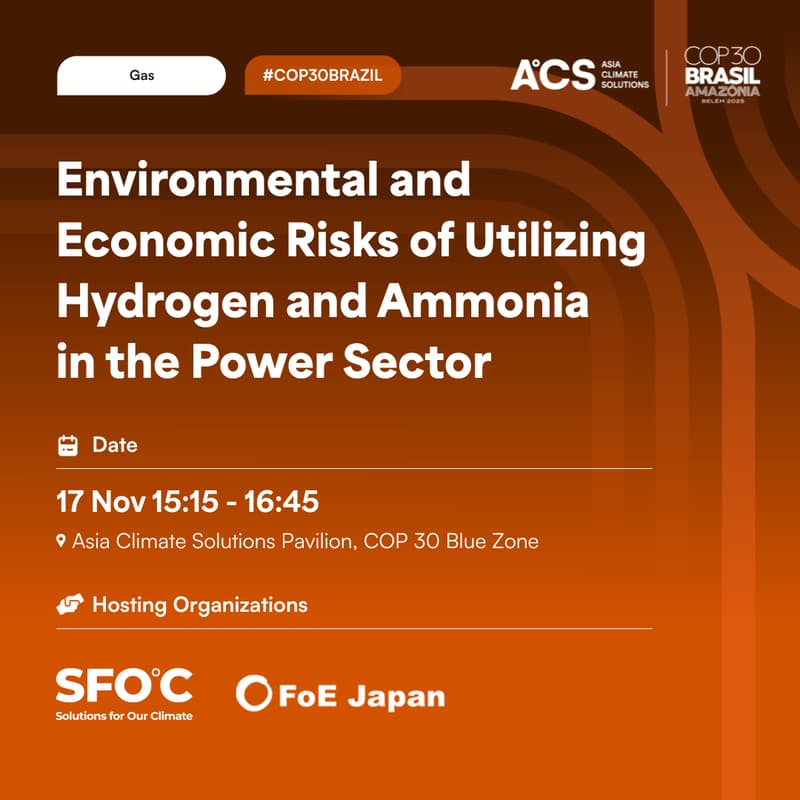Cover Image for Environmental and Economic Risks of Utilizing Hydrogen/Ammonia in the Power Sector