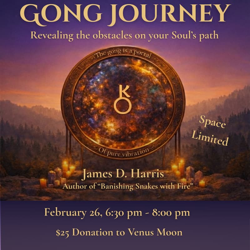 Cover Image for Gong Journey