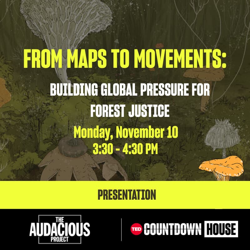 Cover Image for From maps to movements: Building global pressure for forest justice