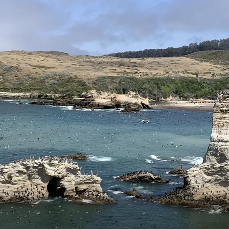 Cover Image for Montana De Oro