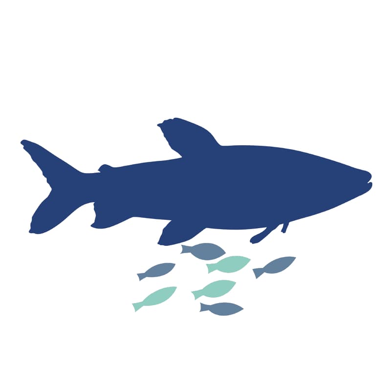 Cover Image for AIMxHIE discussion - Fish Welfare Initiative