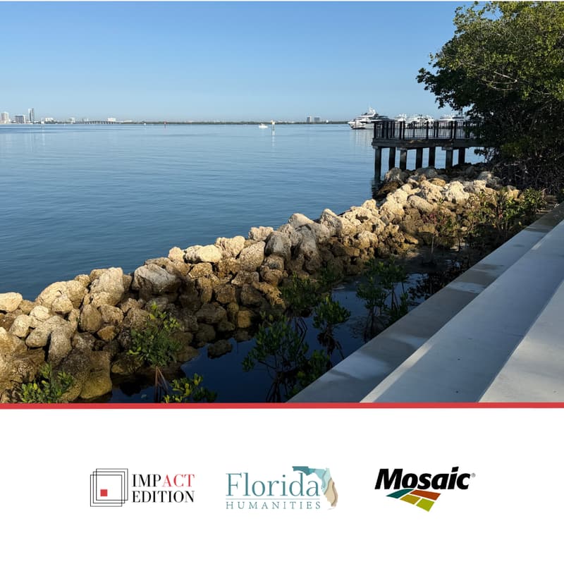 Cover Image for Play for the Mangroves: Live Reading Picnic Under the Trees