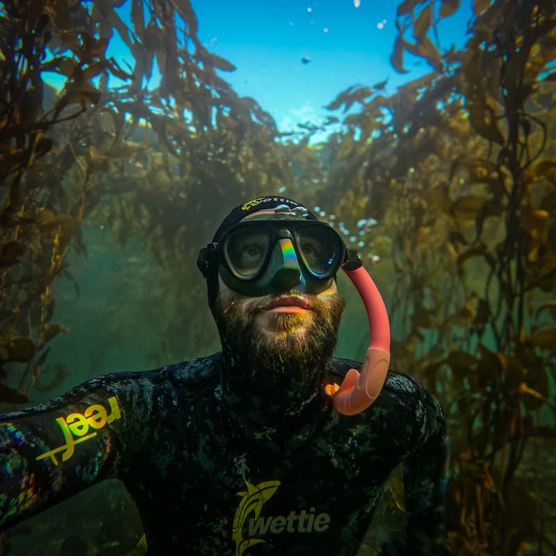 Cover Image for Snorkellers of BC monthly meet up - Snorkelling against climate change