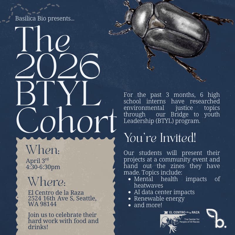 Cover Image for Bridge to Youth Leadership Presentation