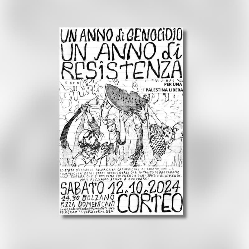 Cover Image for BOLZANO - Corteo a sostegno della Palestina e del Libano e contro il DDL Sicurezza