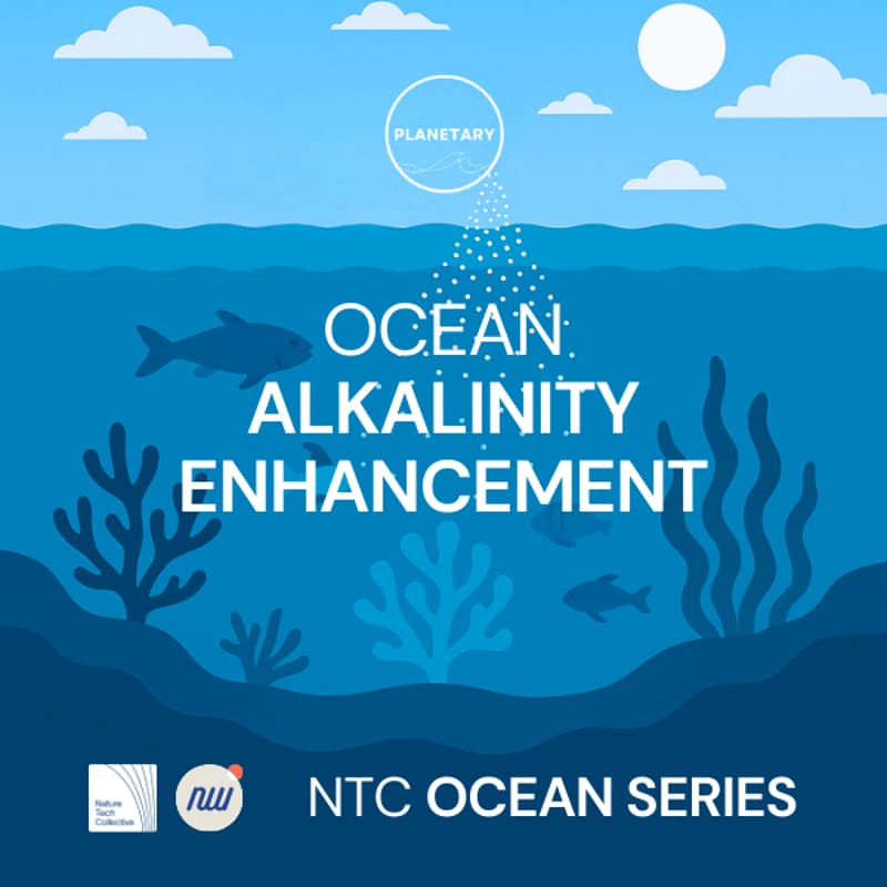 Cover Image for The Future of Marine CDR: Scaling Ocean Alkalinity Enhancement with Planetary
