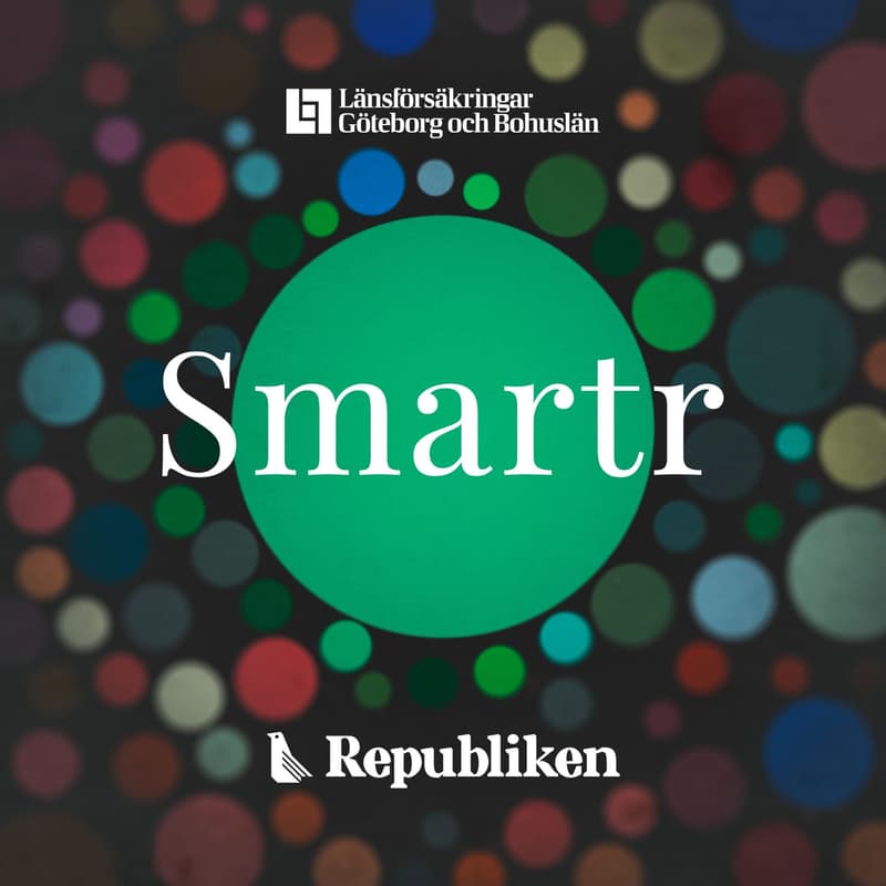 Cover Image for How AI and Data is Changing Marketing: Mastering AI Search and using Data as a competitive advantage in Campaign Communication