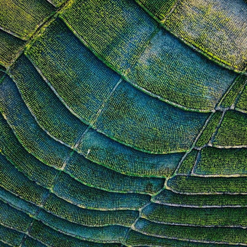 Cover Image for Sustainability Networking and Interactive Panel - Capital for Change: Women Rewriting a Sustainable Future