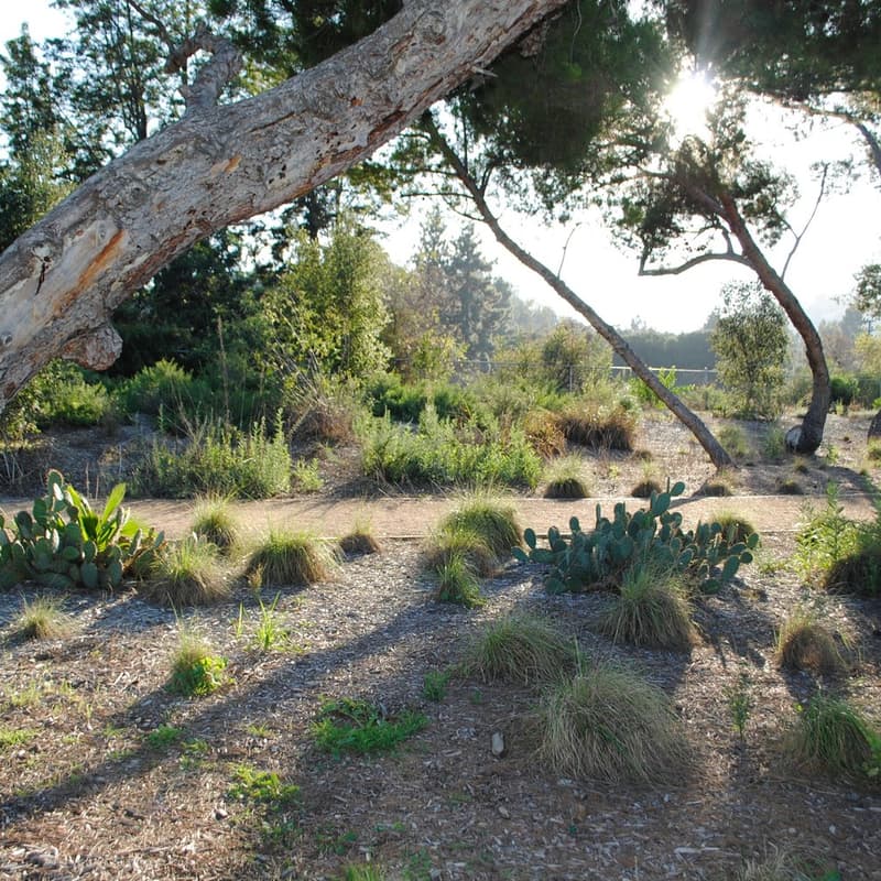 Cover Image for How to “Slow the Burn,” Living with Fire in 2025: A Q&A with Native Plant Expert Max Kanter