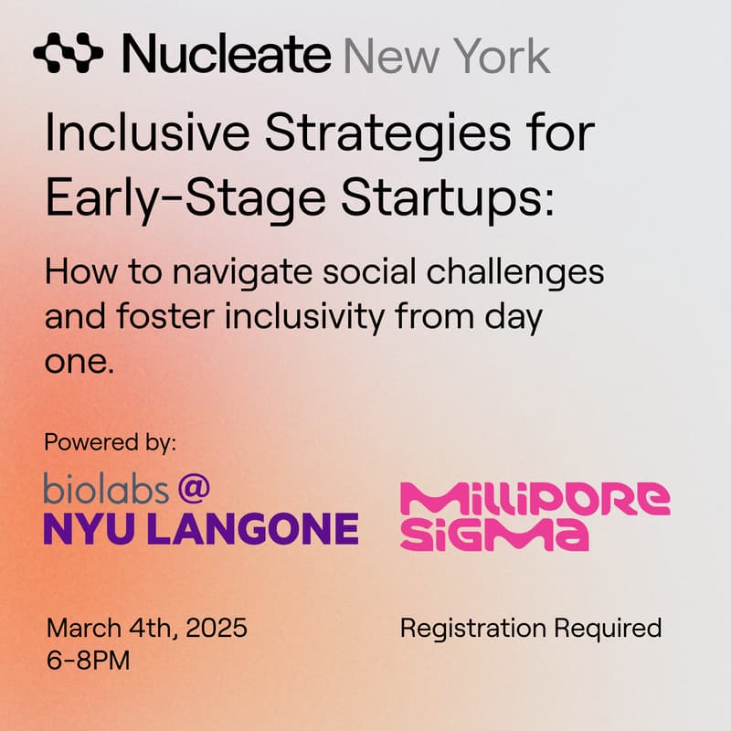 Cover Image for Activator Workshop 3: Inclusive Strategies for Early-Stage Startups