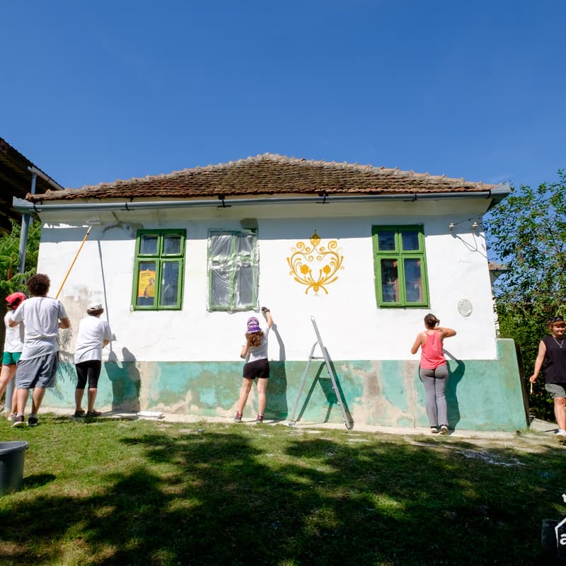 Cover Image for Color the Village