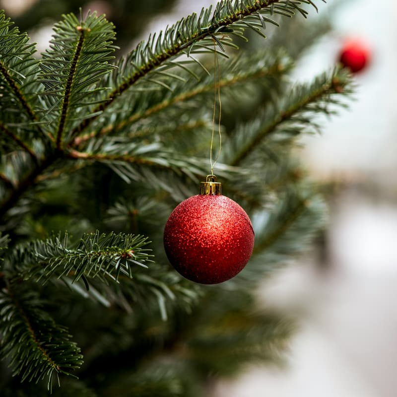 Cover Image for Capital Enterprise Festive Social