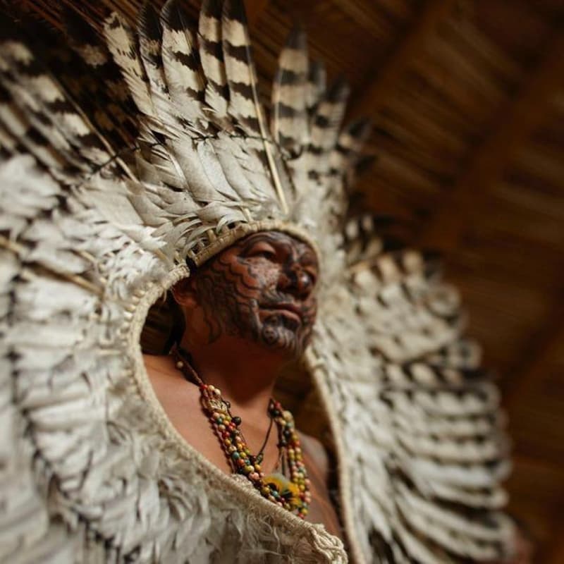 Cover Image for A New Time of Alliance: The Arrival of Chief Nixiwaká Brasil Yawanawá to the WEF