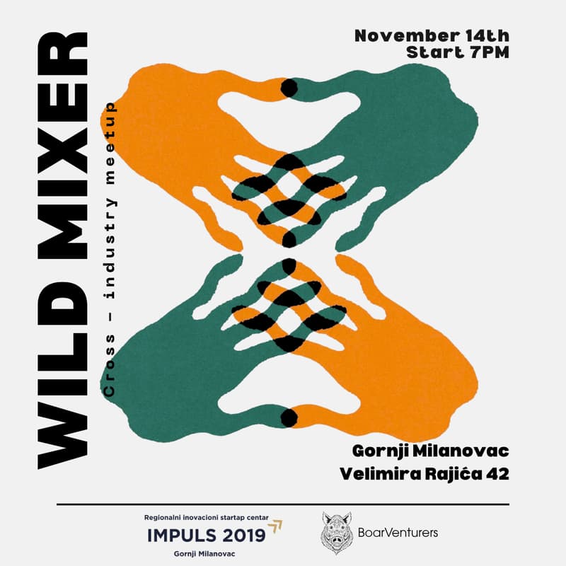 Cover Image for Wild Mixer – Gornji Milanovac