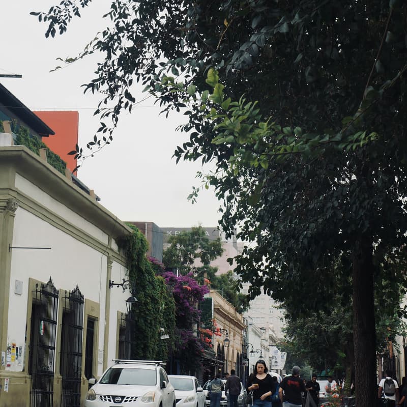 Cover Image for CENTRO - Barrio Antiguo
