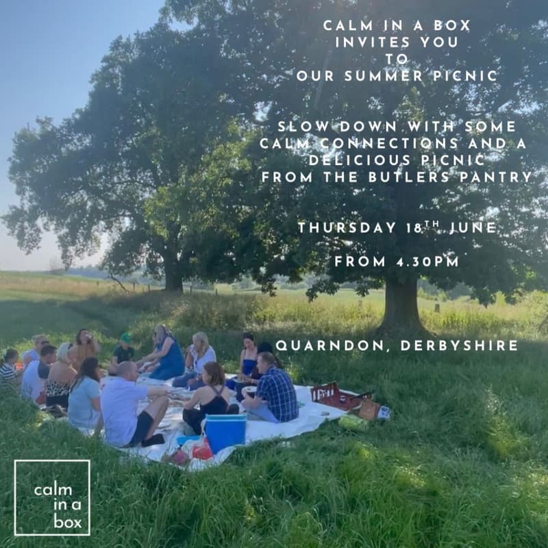 Cover Image for CALM Summer Picnic