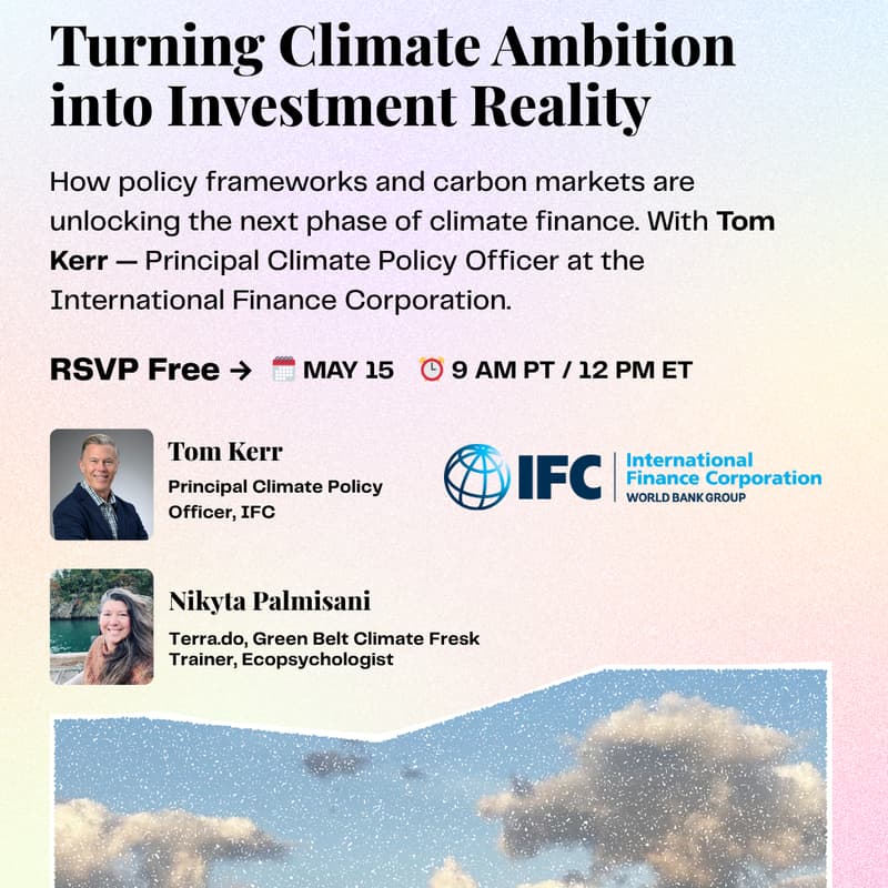 Cover Image for Pricing the Planet: Turning Climate Ambition into Investment Reality