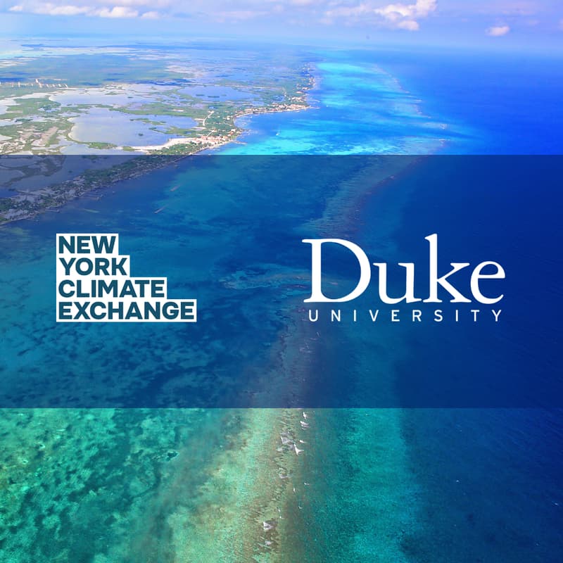Cover Image for Marine Debt-for-Nature Swaps: What is Needed to Scale Blue Finance?