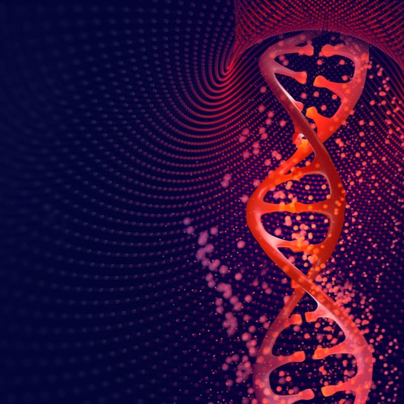 Cover Image for Insights to Impact | Bench to Batch – Accelerating IND Readiness