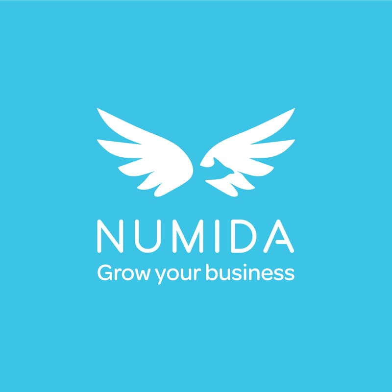 Cover Image for Fintech-Investor mixer @ Lemon Kigali, hosted by Numida