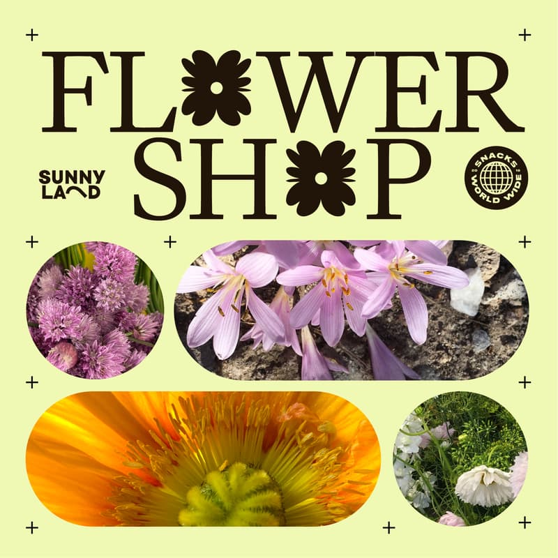 Cover Image for Sunnyland x Snacks Worldwide Flower Shop