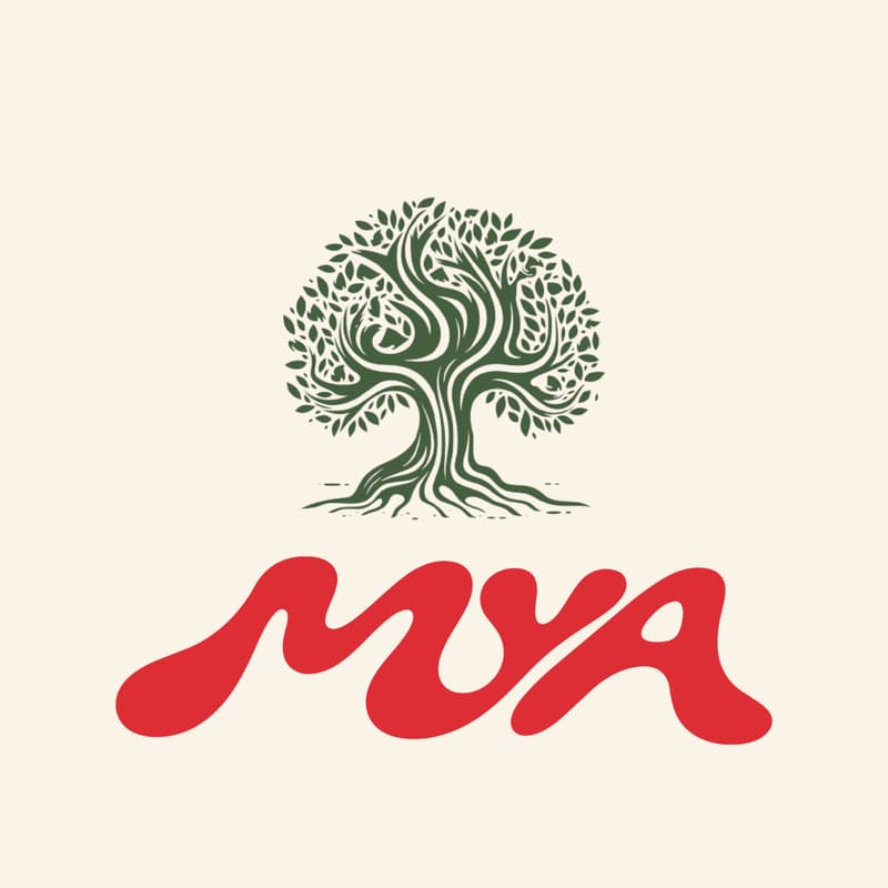 Cover Image for Olive Tree Writing Club Comes to Williamsburg