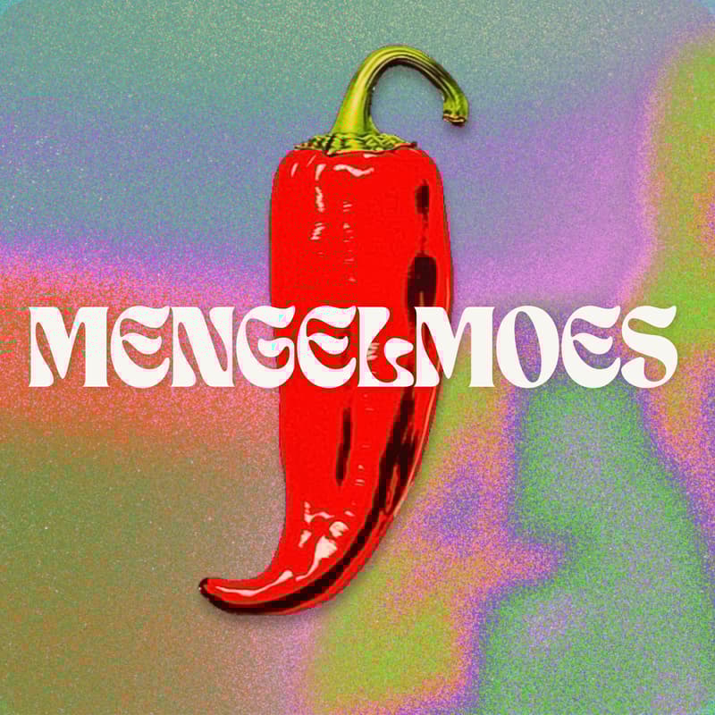Cover Image for Mengelmoes
