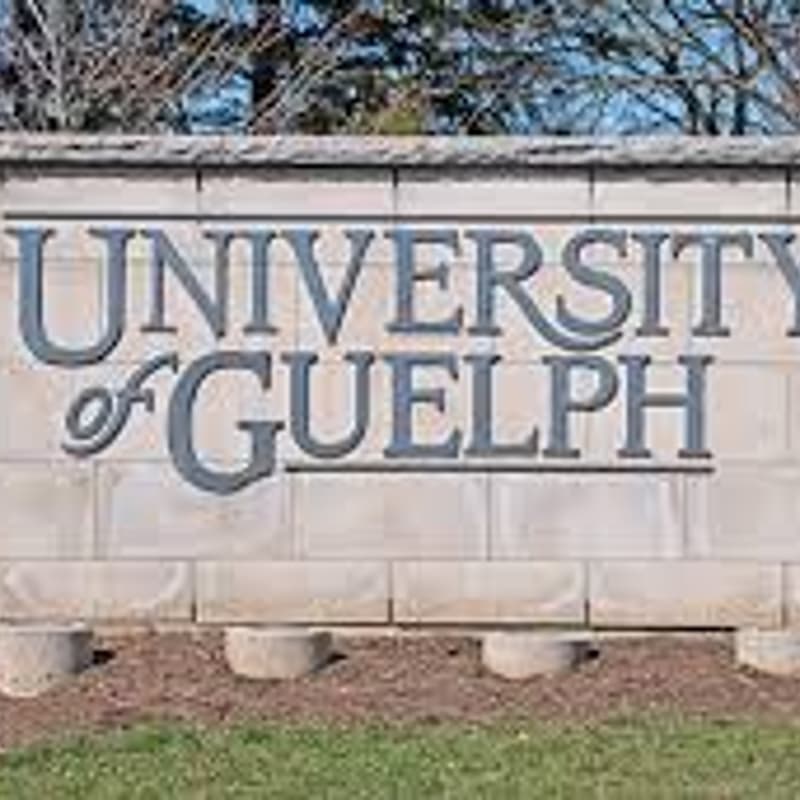 Cover Image for University of Guelph Industrial-Organizational Psychology Graduate Program Information Night