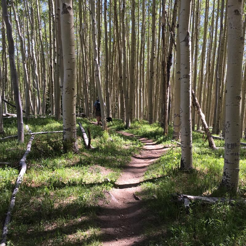 Cover Image for Death and Joy - A Complex Relationship