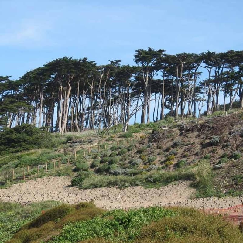 Cover Image for Hike With STOP AI