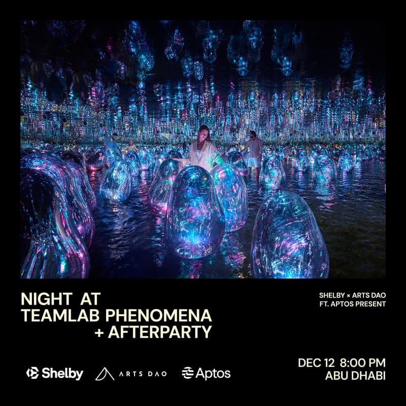 Cover Image for Shelby x Arts DAO Present: Night at teamLab Phenomena + Afterparty