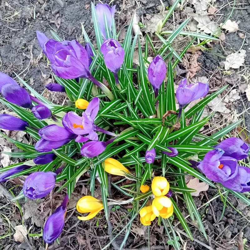 Cover Image for My Autism Story (20)