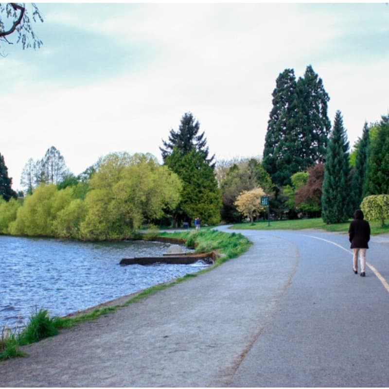 Cover Image for Startup Network: Walk & Talk