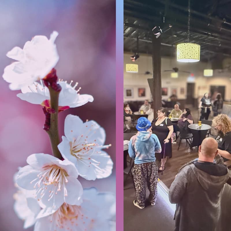 Cover Image for BLOOM: r/Dayton Spring Meetup