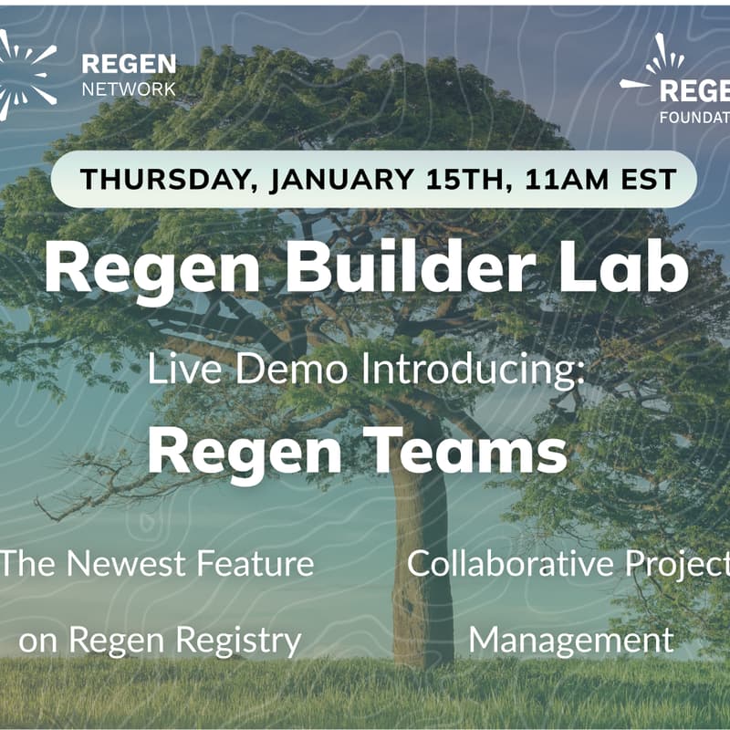 Cover Image for Regen Builder Lab: Introducing Regen Teams!