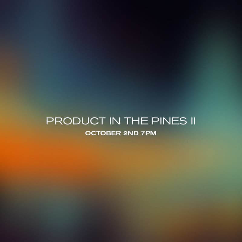 Cover Image for Product in the Pines II