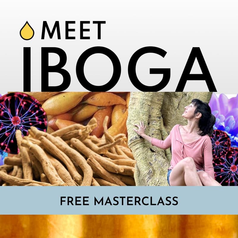 Cover Image for 11/3 Microdose with Iboga: Optimizing Body, Brain and Spirit — 2PM EST / 11AM PST