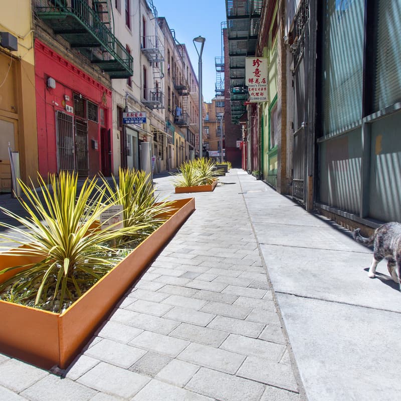 Cover Image for Rain Guardians Chinatown Planting Event