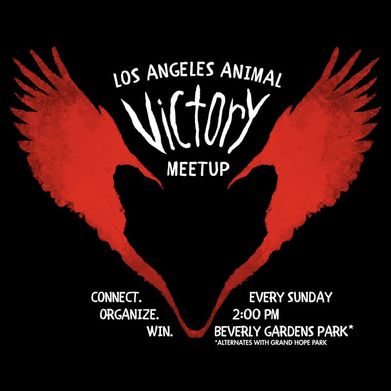 Cover Image for LA Animal Victory Meetup
