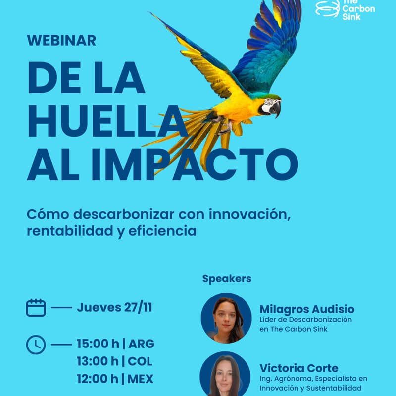 Cover Image for 2° Edición: Webinar De la Huella al Impacto | The Carbon Sink