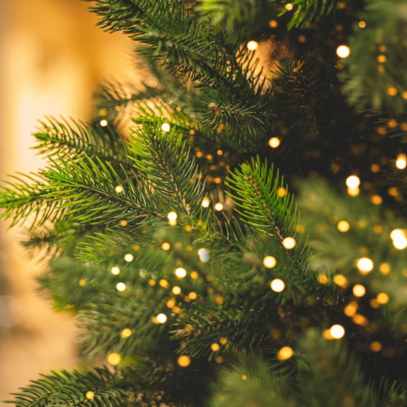 Cover Image for Holiday Wellness Fair šāļøš©µ