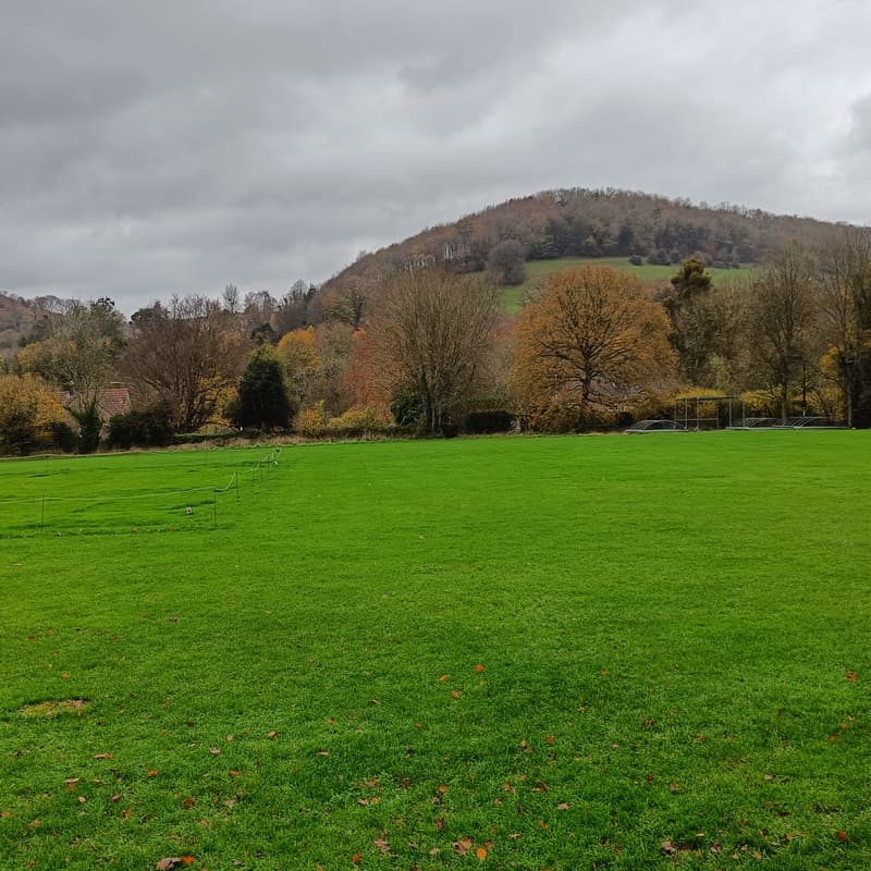 Cover Image for UTM Playing field Work Party