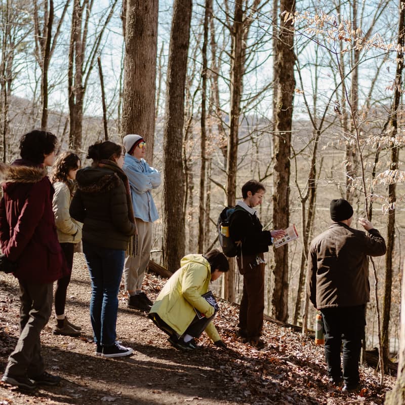 Cover Image for Queer Urban Tree Identification and Reflection - Washington, DC
