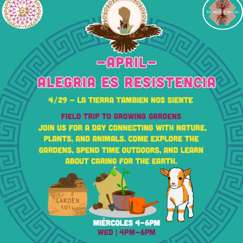 Cover Image for Raíces Vivas - Field trip to Growing Gardens