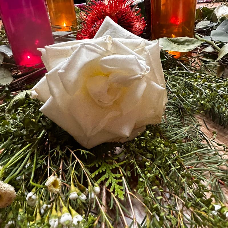 Cover Image for Sacred Twin Hearts Mala & Cacao