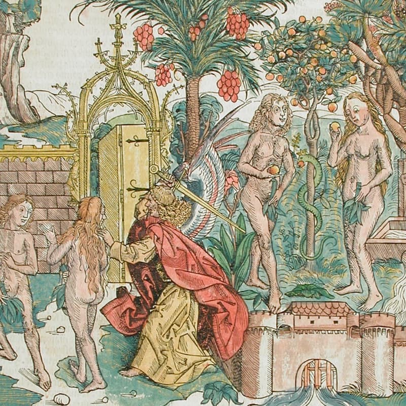 Cover Image for The Fall, Atonement and Evolution