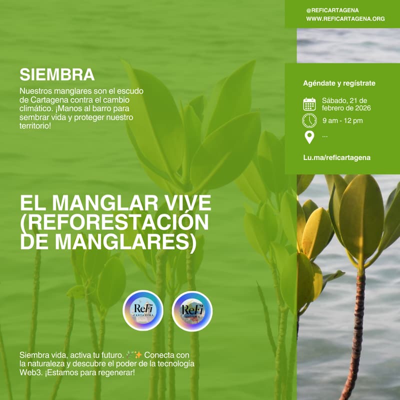 Cover Image for 🌱El Manglar Vive: Reforestación y Aventura