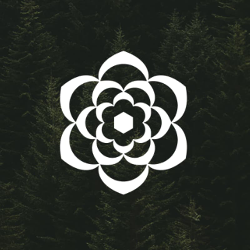 Cover Image for Inside Sierra: What it takes to deploy AI at scale