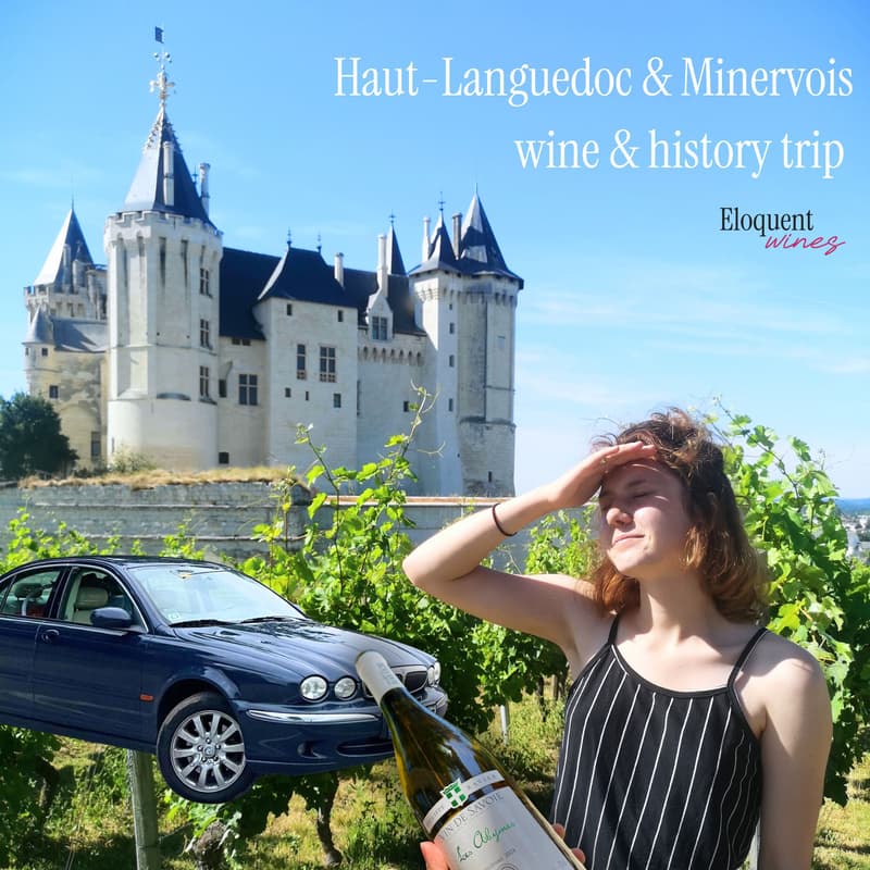 Cover Image for trip to France to discover real wine, history & region culture